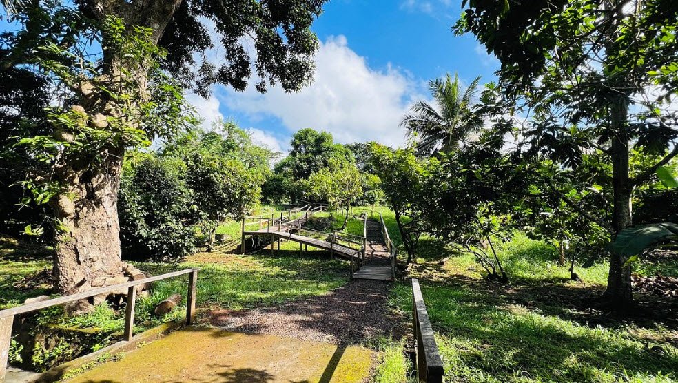 Laura’s Herb &amp; Spice Garden, St. David, Grenada